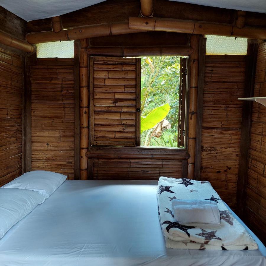 Hostal La Pijarana Salento Luaran gambar
