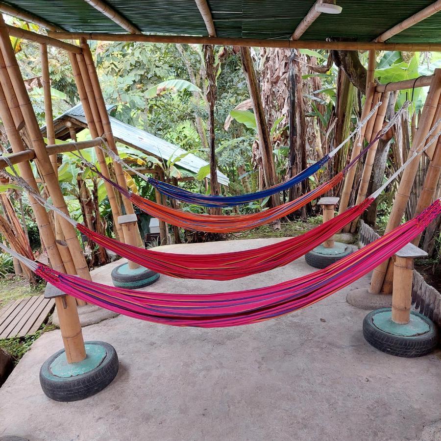 Hostal La Pijarana Salento Luaran gambar