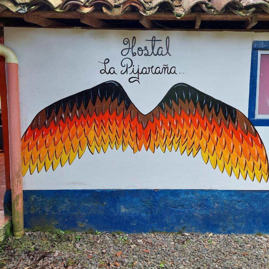 Hostal La Pijarana Salento Luaran gambar
